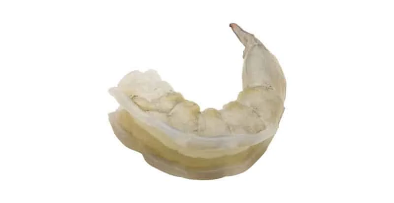 Shrimp PND
