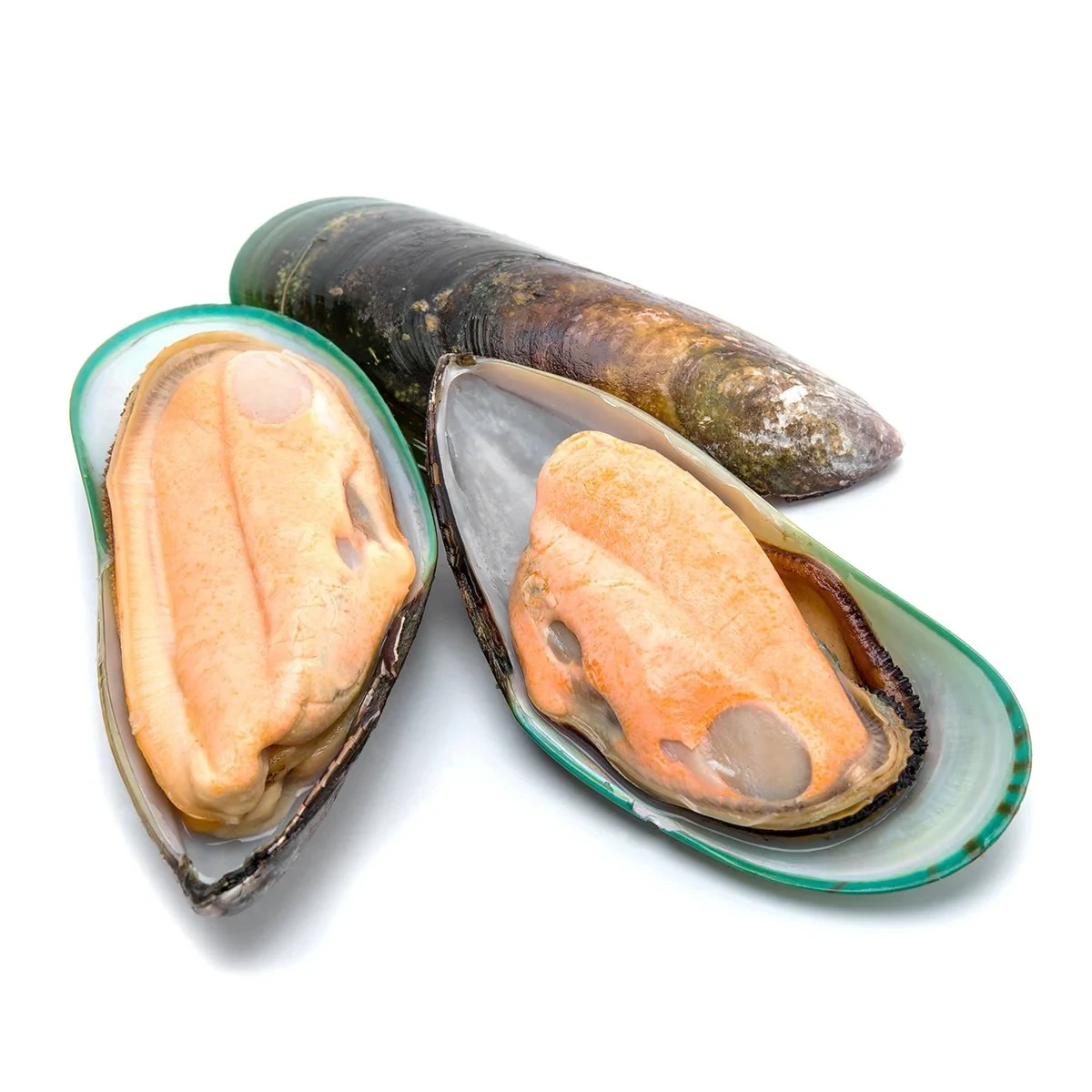 Greenshell Mussels