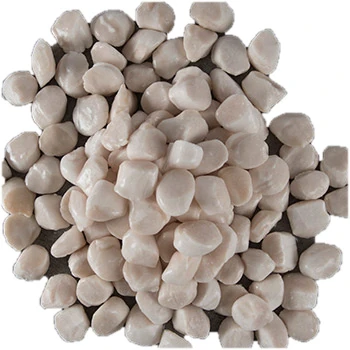 IQF Scallops
