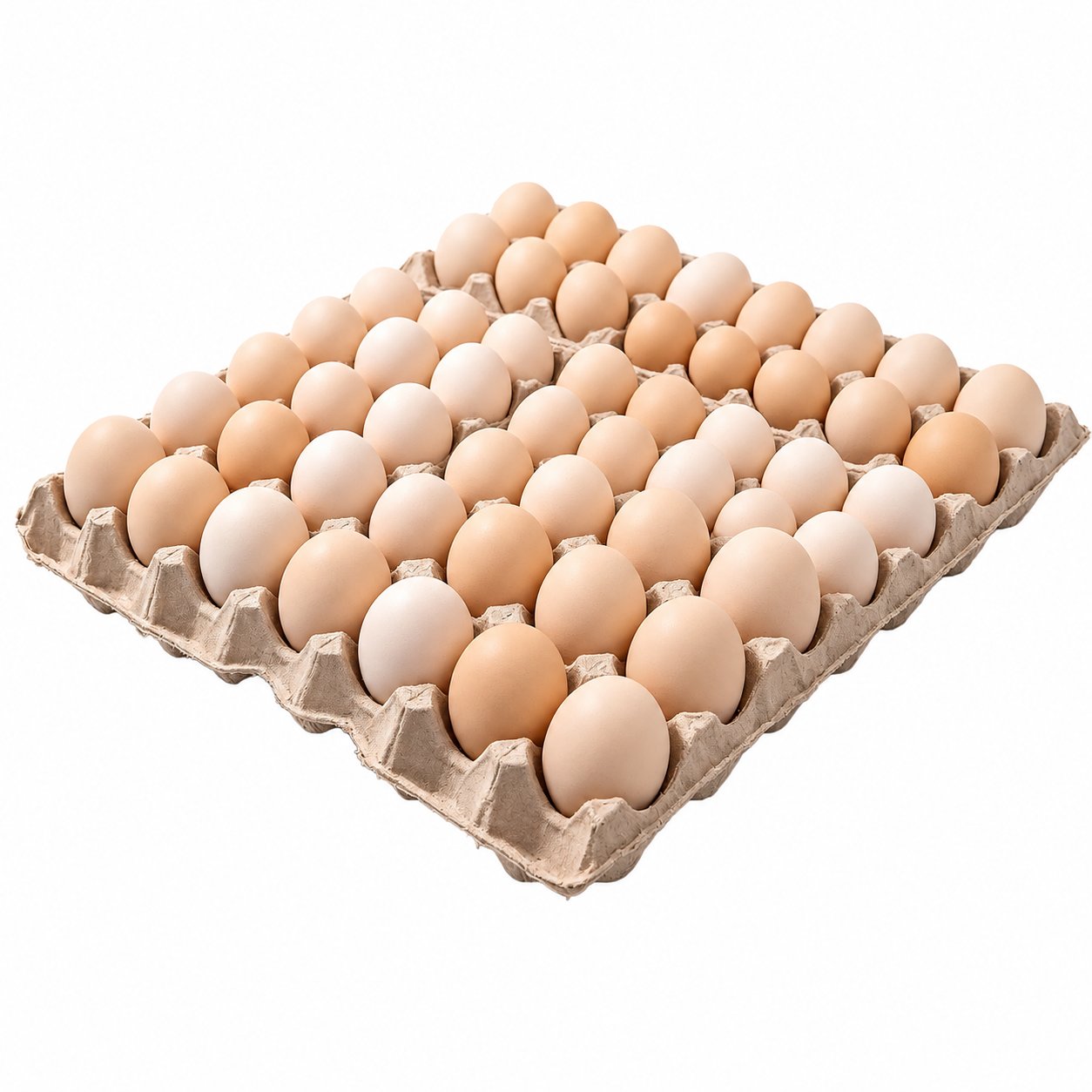 Local Farm Extra Jumbo Size Chicken Eggs