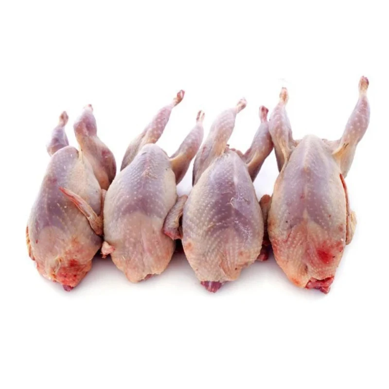Halal Whole Quail